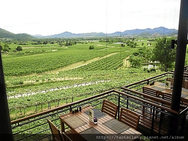 HuaHinHillsVineyard10.jpg