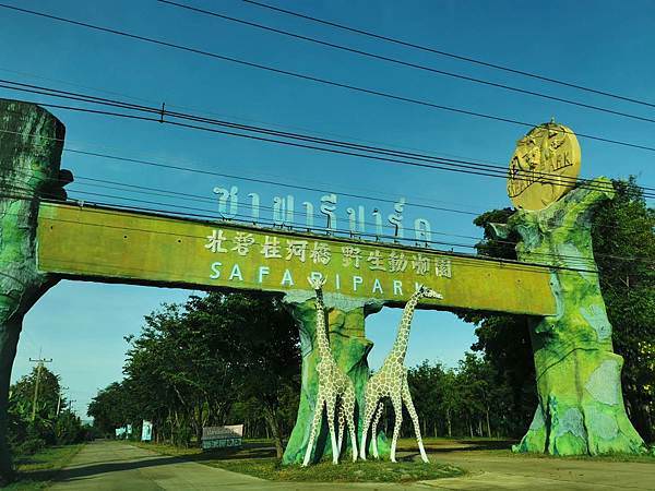 推薦北碧府賽佛瑞動物園,想跟北壁長頸鹿在吉普車上拍美照?親身 Safari Park Kanchanaburi