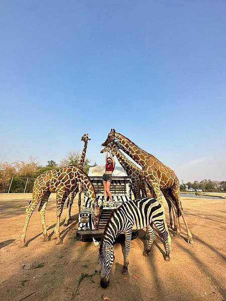 推薦北碧府賽佛瑞動物園,想跟北壁長頸鹿在吉普車上拍美照?親身 北碧府賽佛瑞動物園.jpg