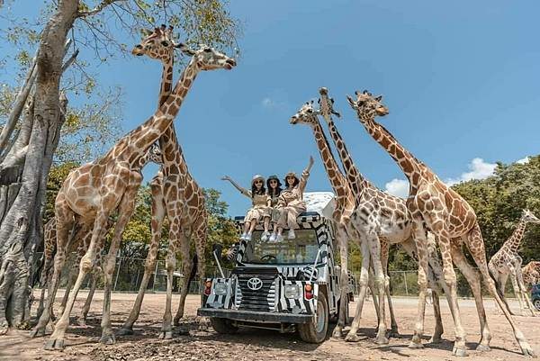 賽佛瑞動物園