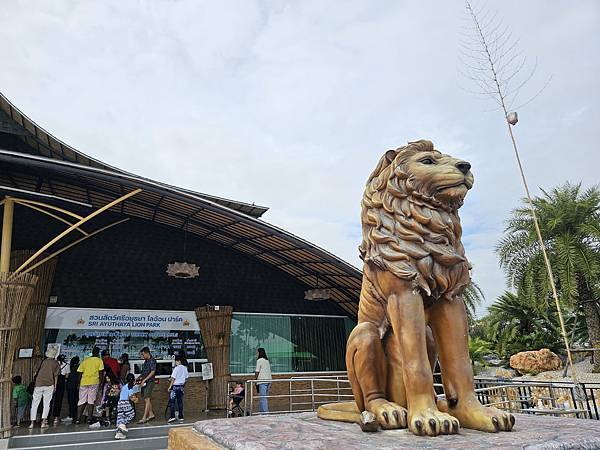 預約曼谷新景點大城動物園 Sriayuthaya Lion Sriayuthaya Lion Park 大城動物園