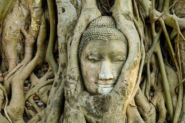 瑪哈泰寺 Wat Mahathat