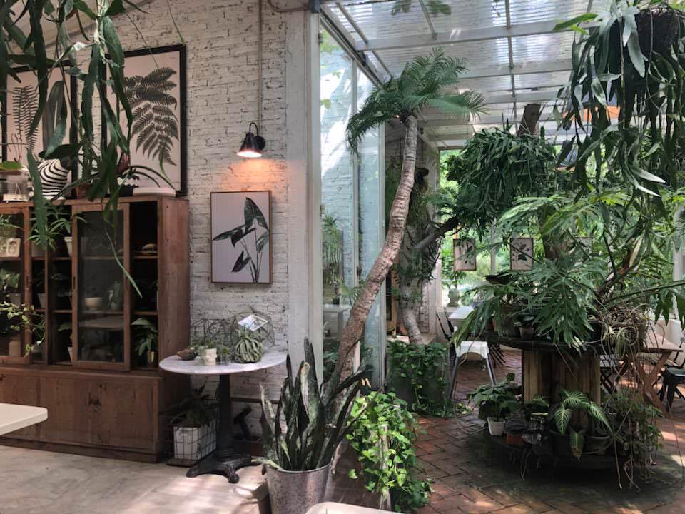 泰國佛統網紅Cafe-/Bubble in the forest森林泡泡咖啡訂位攻略 - 第7張圖 Little Tree Garden Cafe