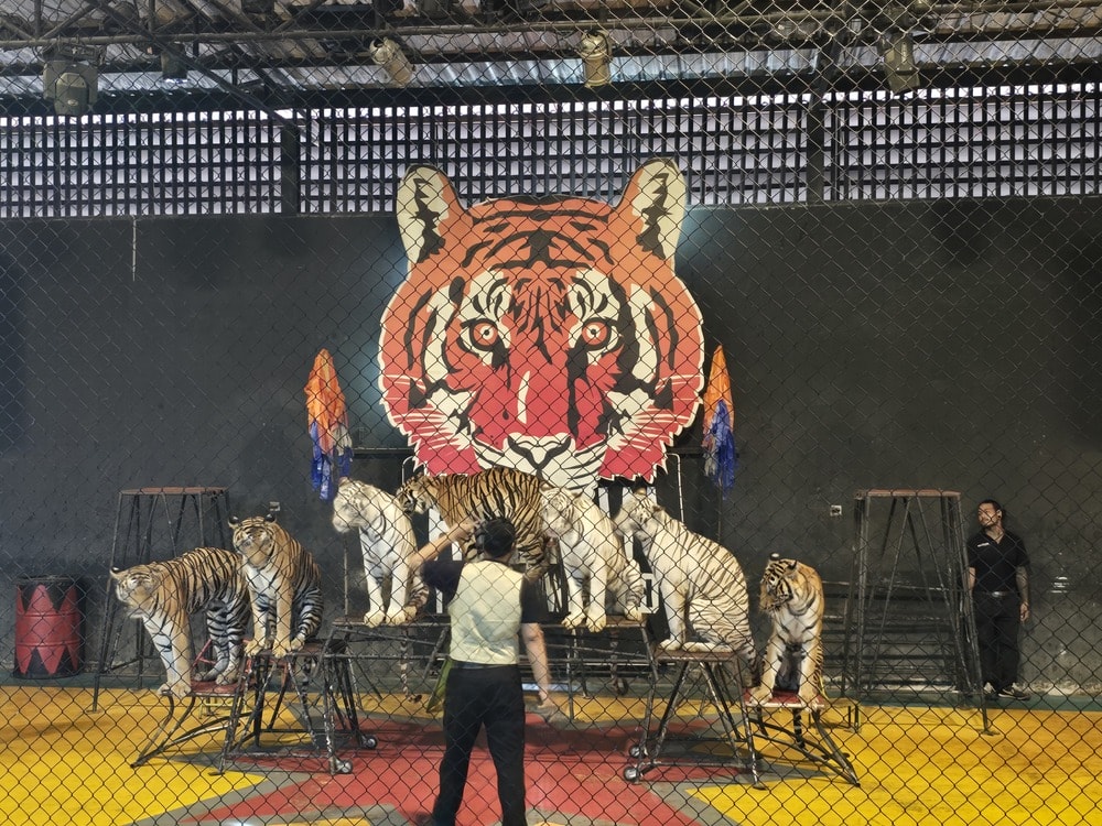 華欣野生動物園