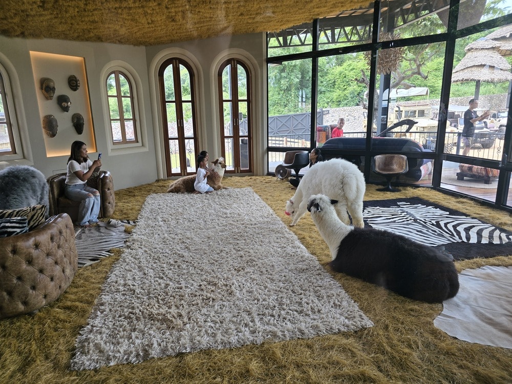 華欣野生動物園