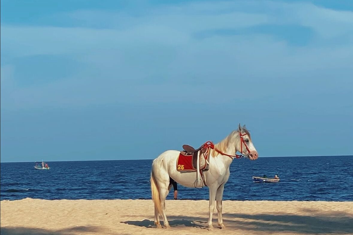華欣海邊文青商場、美食逛街、皇家式度假全攻略 - 第16張圖