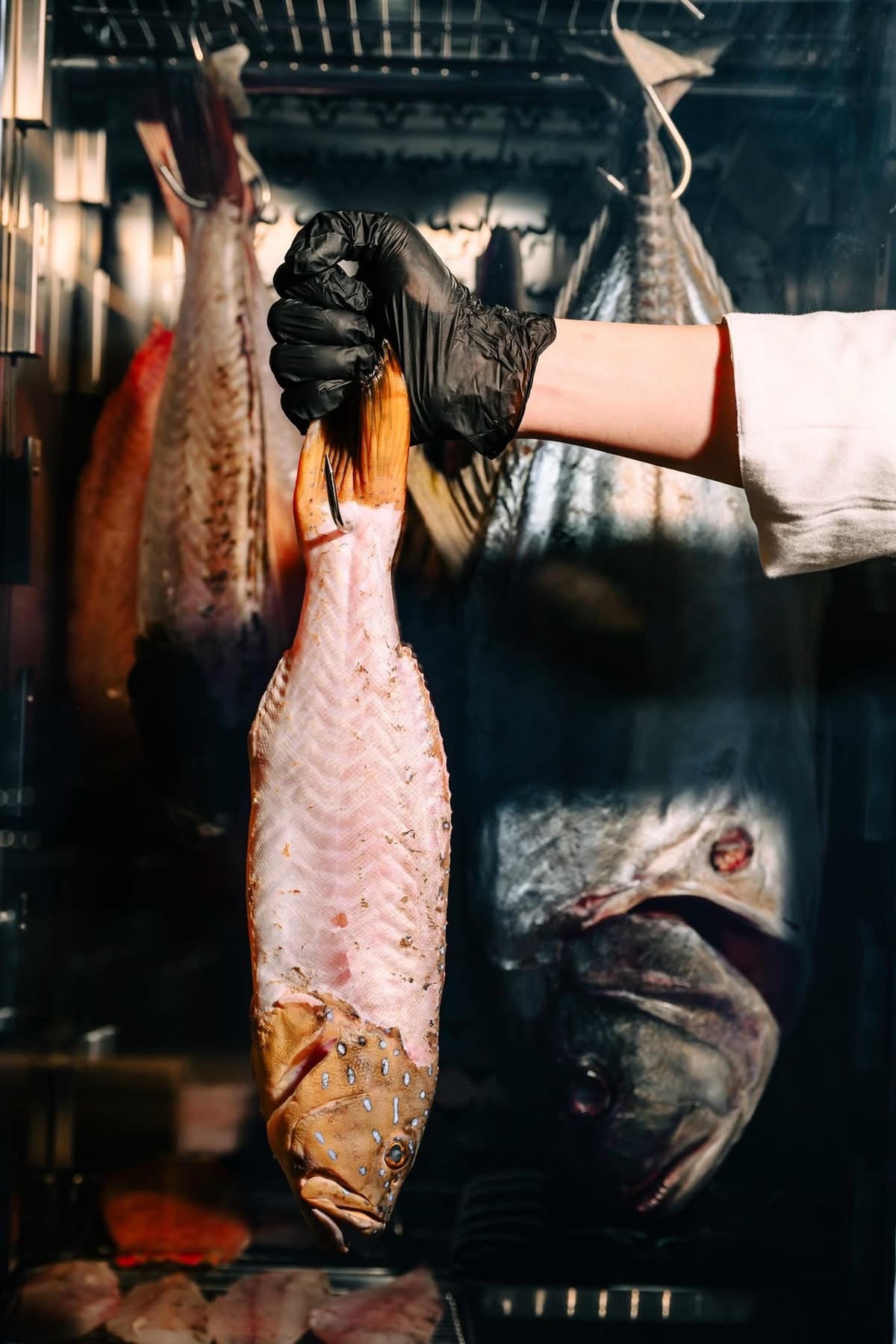 曼谷最夯 The Glass Market Bangna 美食 購物（ 親子）全攻略