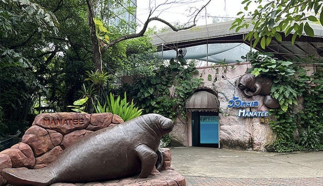 曼谷賽福瑞野生動物園雙園區行程攻略，必體驗野外餵食老虎、長頸鹿